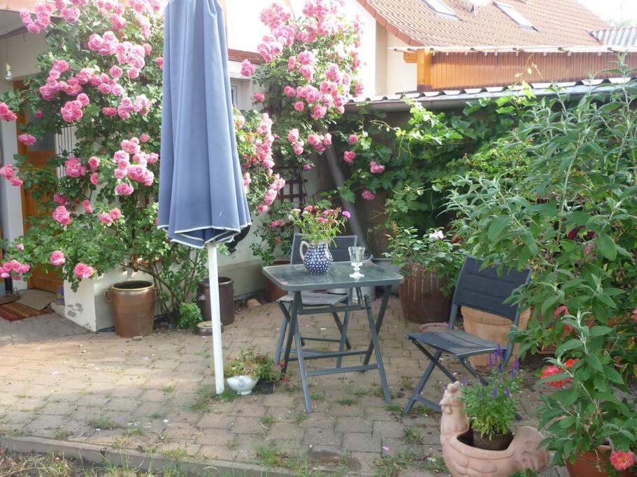 Appartamento Erpelhaus Utzberg Esterno foto