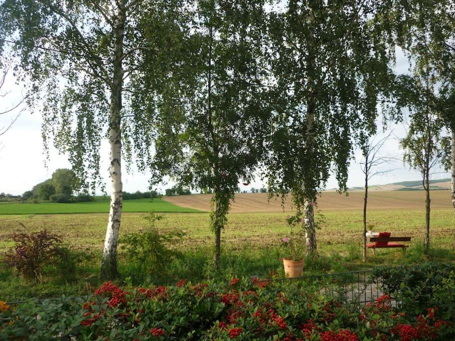 Appartamento Erpelhaus Utzberg Esterno foto