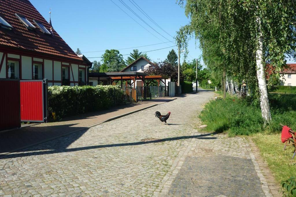 Appartamento Erpelhaus Utzberg Esterno foto